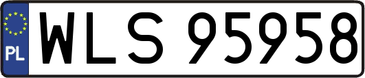WLS95958