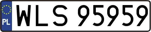 WLS95959