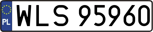 WLS95960