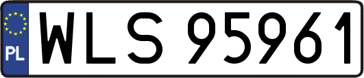 WLS95961