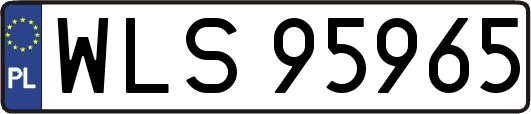 WLS95965