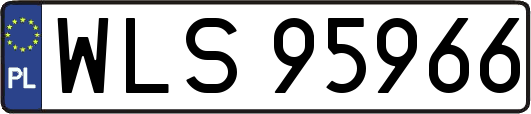 WLS95966