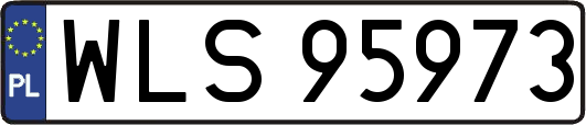 WLS95973