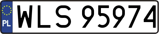 WLS95974