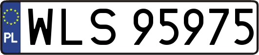 WLS95975