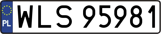 WLS95981