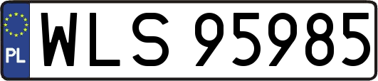 WLS95985