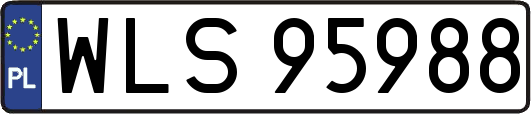 WLS95988