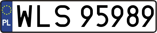 WLS95989