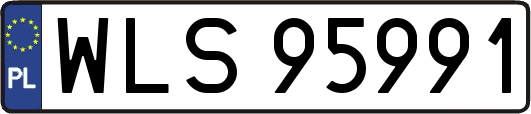 WLS95991