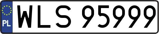 WLS95999