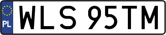 WLS95TM