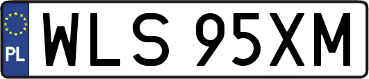 WLS95XM