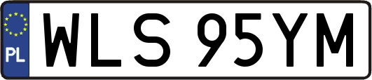 WLS95YM