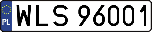 WLS96001