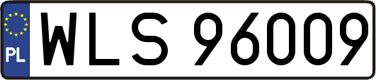 WLS96009