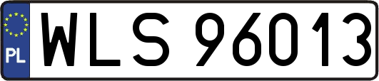 WLS96013