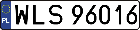 WLS96016
