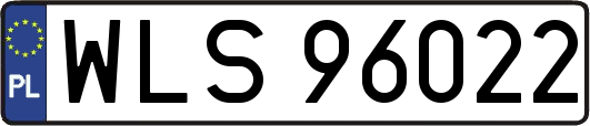 WLS96022