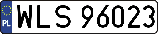 WLS96023