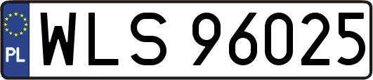 WLS96025