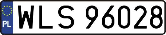WLS96028