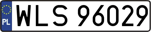 WLS96029