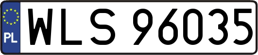 WLS96035