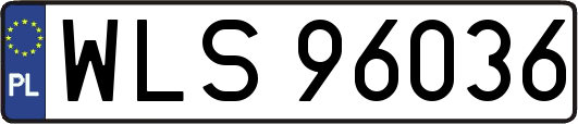 WLS96036
