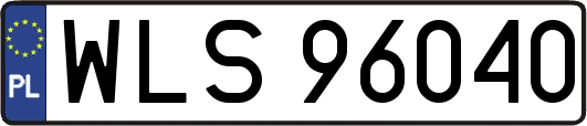 WLS96040