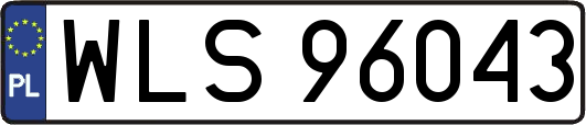 WLS96043