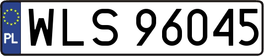 WLS96045