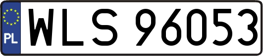 WLS96053