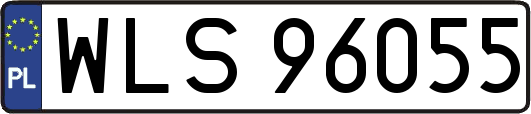 WLS96055