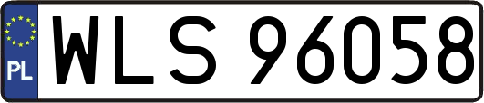 WLS96058