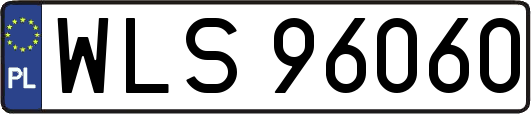 WLS96060
