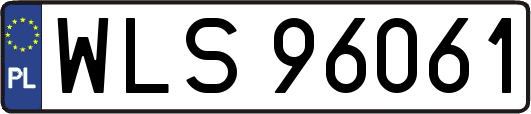 WLS96061