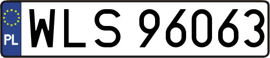 WLS96063