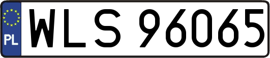 WLS96065