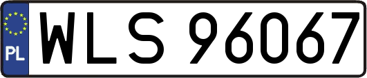 WLS96067