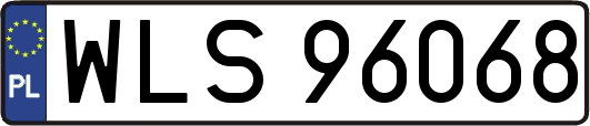 WLS96068