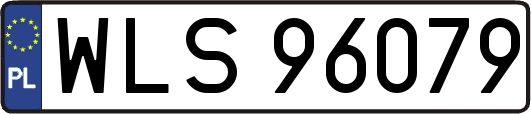 WLS96079