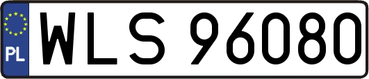 WLS96080