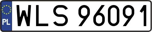 WLS96091