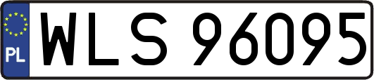 WLS96095