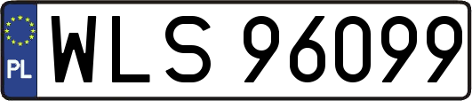 WLS96099