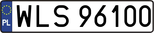 WLS96100