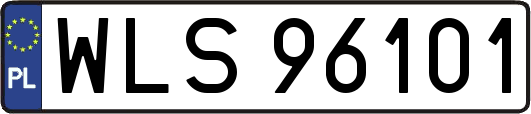 WLS96101