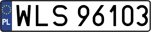 WLS96103