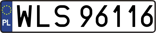 WLS96116